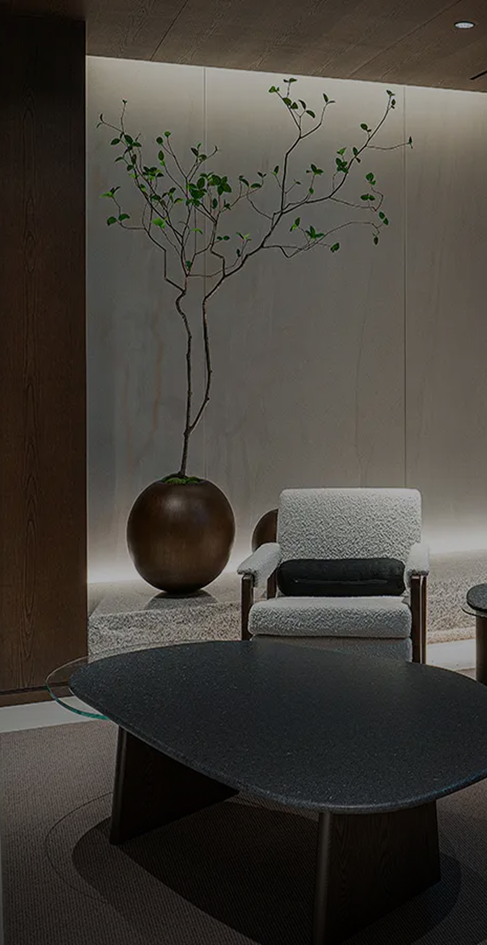 SIGNIEL COLLECTION