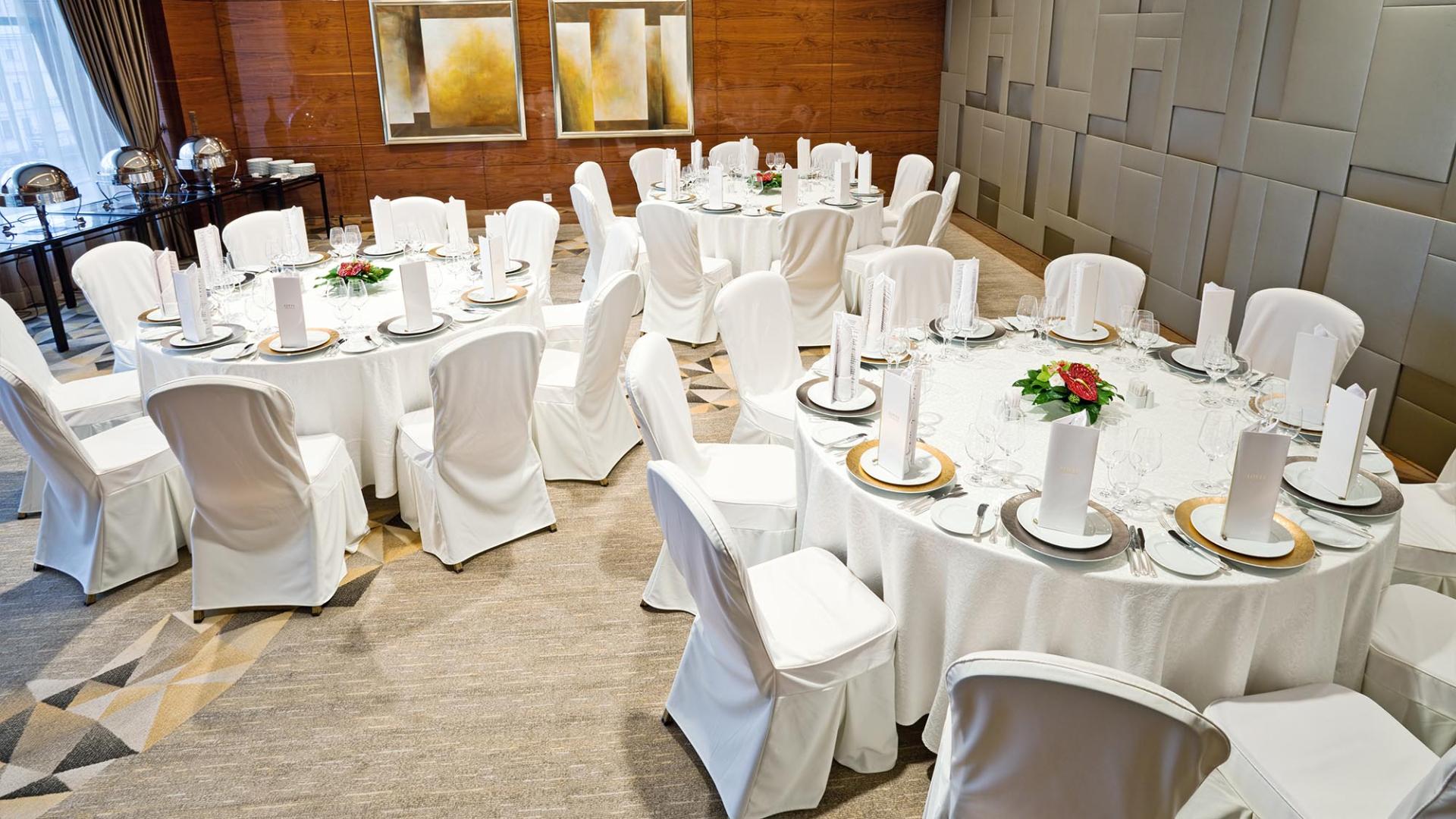 Lotte Hotel Moscow-Wedding&Conference-Hotel Conference-Sapphire Hall