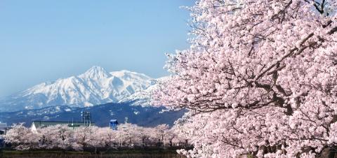 Takada Park