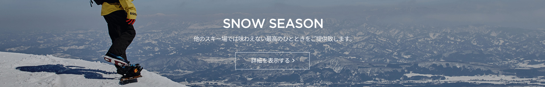 snow season banner