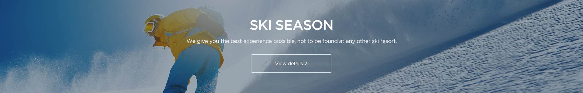 ski webzine