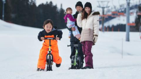 Lotte Ari Resort, Ski Season, Model