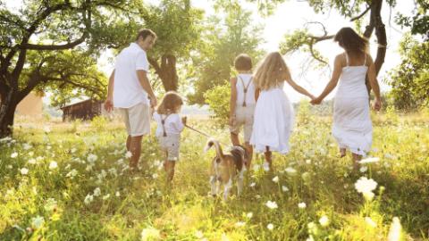 family spending time outdoor on a summer day