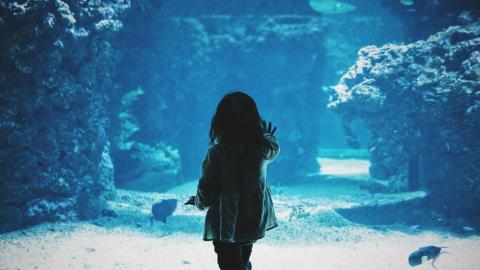 Children, Aquarium